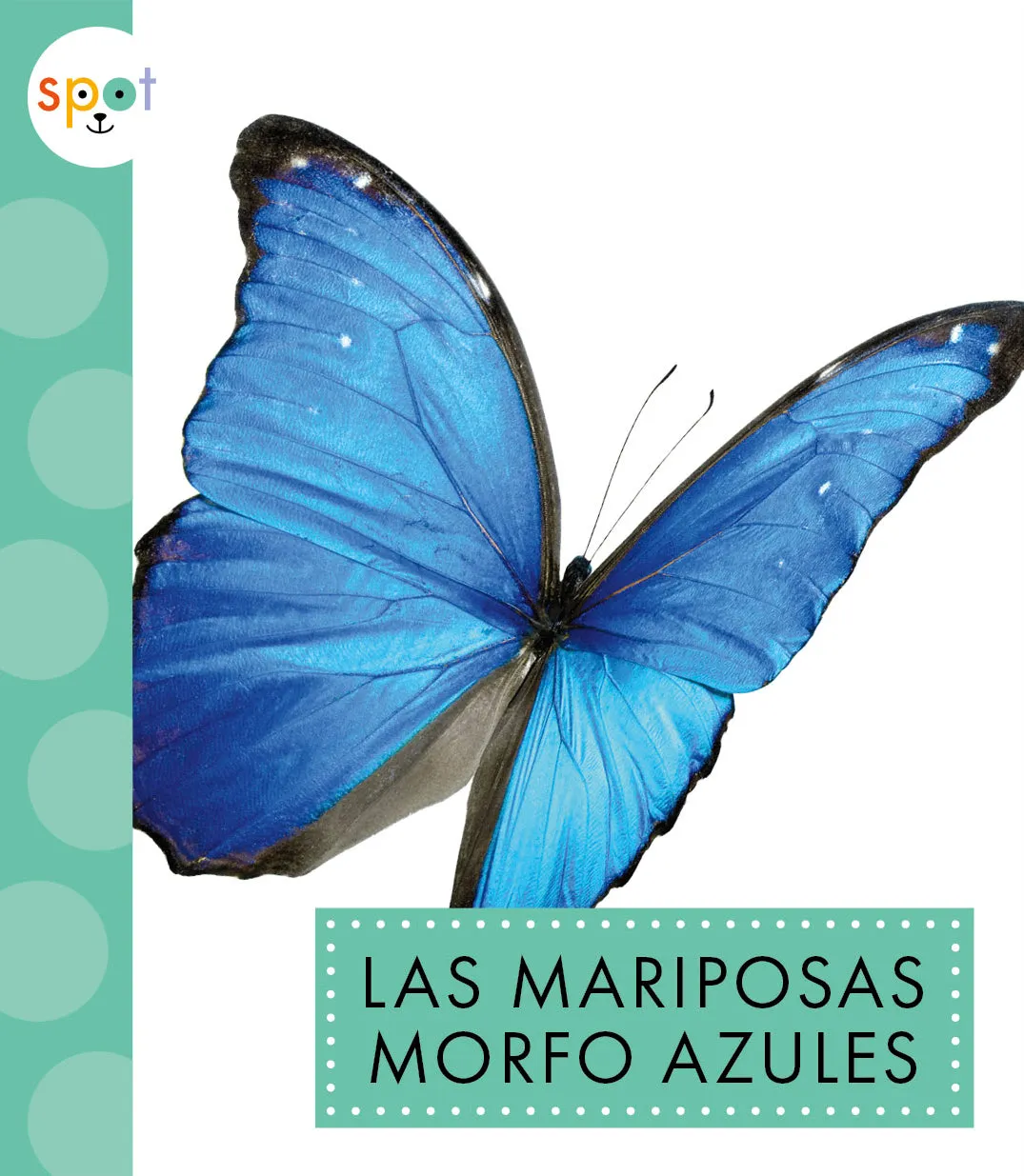Las mariposas morfo azules